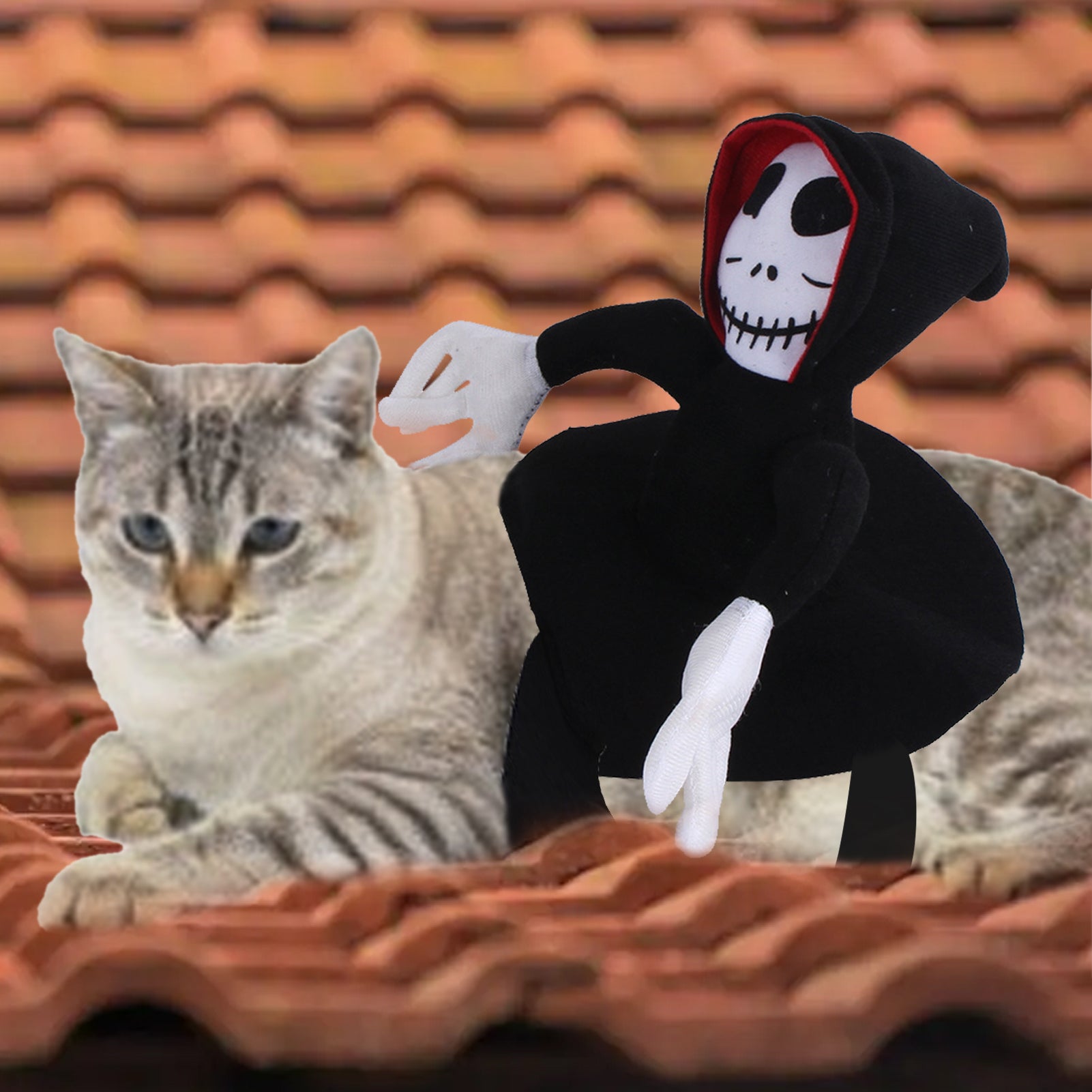 Funny Pet Halloween Costume Pet Decoration Dress-up Pet - Discount Halloween City