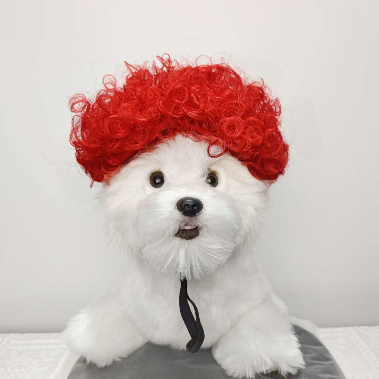 Pet for Curly or Straight Hair Wig - alternate view 23