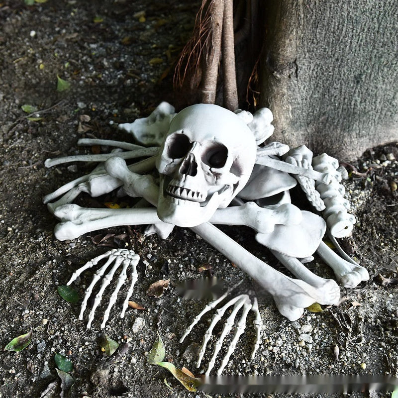 Skull Skeleton Loose Bone Decoration Set