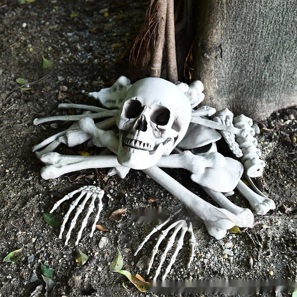Skull Skeleton Loose Bone Decoration Set