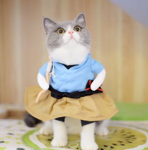 Funny Costume Uniform Suit Party Clothing for Cat Cosplay - Discount Halloween City