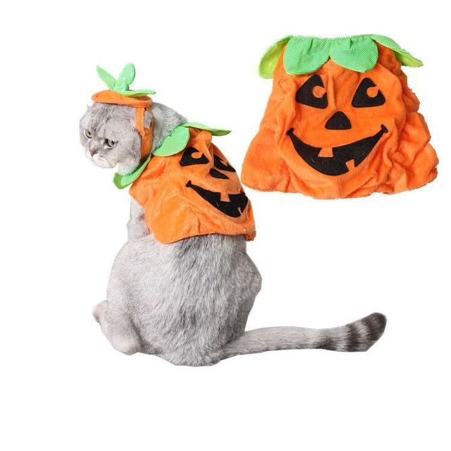 Halloween Pet Cats Costume Props Pumpkin Shape Green Leaf - Discount Halloween City