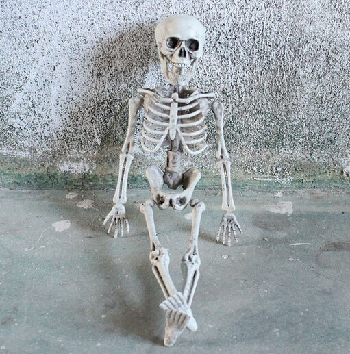 Halloween Skull Ornament - Discount Halloween City