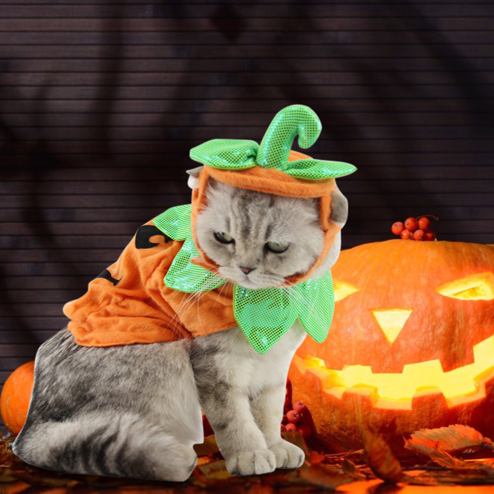 85fee8ef04ddaa7a0e131ede7f008851