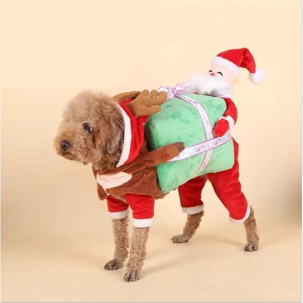 Halloween Dog Clothes - Discount Halloween City