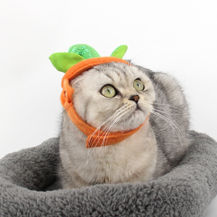 Halloween Pet Cats Costume Props Pumpkin Shape Green Leaf - Discount Halloween City