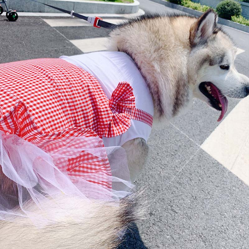 Dog Clothes Princess Dog Costume Labrador Golden Retriever | Womens Costumes - Pet Costumes