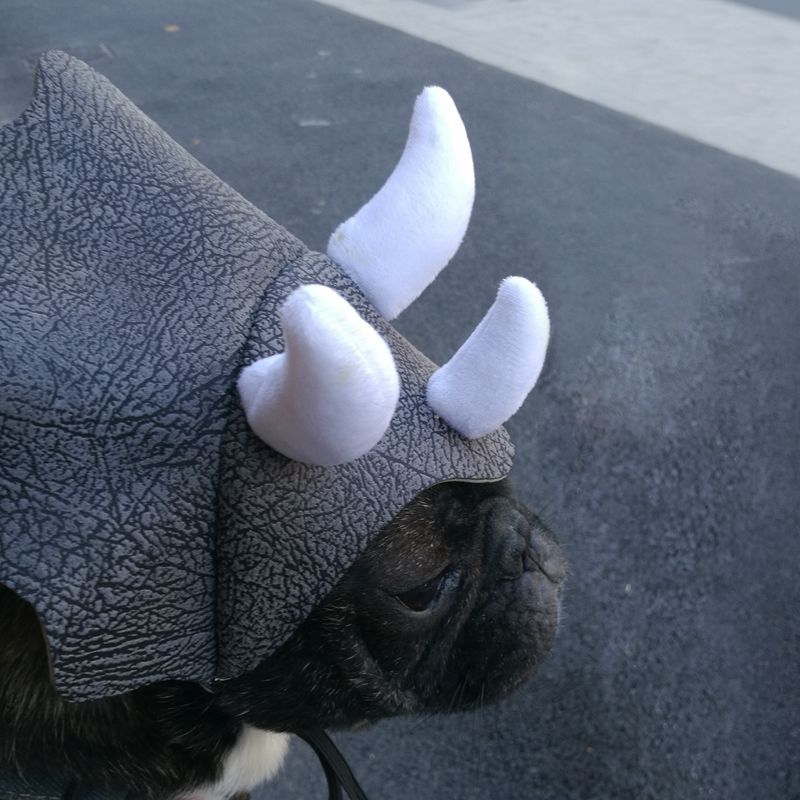 Pet Triceratops Dog Dinosaur Hat Pet Cat Dog Hat Pet - Discount Halloween City
