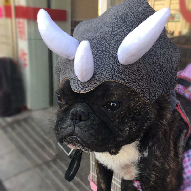 Pet Triceratops Dog Dinosaur Hat Pet Cat Dog Hat Pet