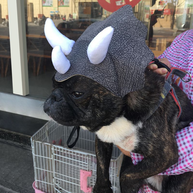 Pet Triceratops Dog Dinosaur Hat Pet Cat Dog Hat Pet - Discount Halloween City