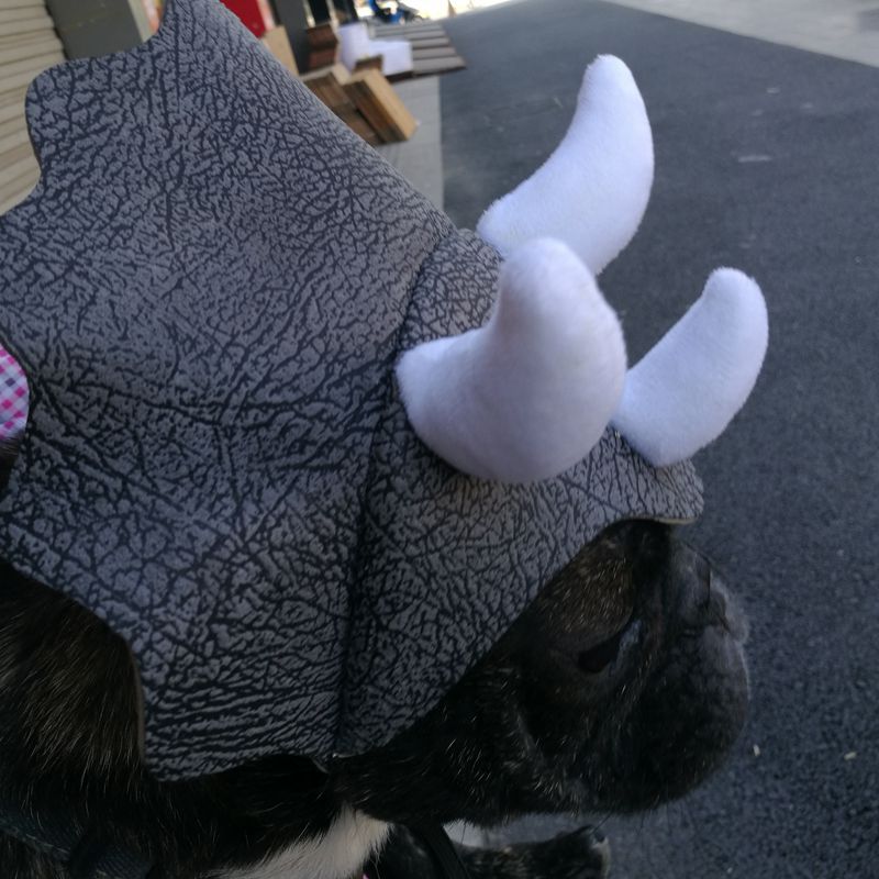 Pet Triceratops Dog Dinosaur Hat Pet Cat Dog Hat Pet - Discount Halloween City