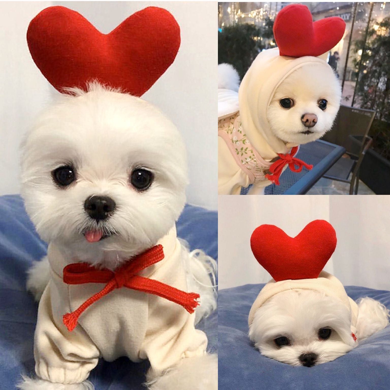 Cute Fruit Dog Clothes for Small Dogs Hoodies Winter Warm - Discount Halloween City