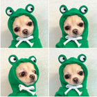 Style 5 Style