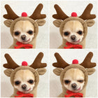 Style 6 Style