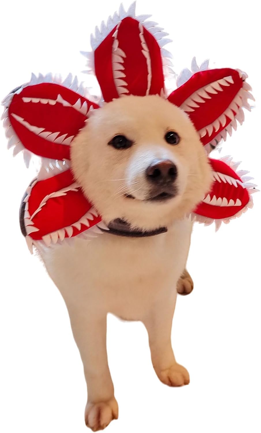 Dog Halloween Chomper Costume - Pet Holiday Demon Hat Scary - Discount Halloween City