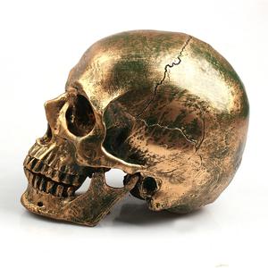 Halloween Resin Skull - Discount Halloween City