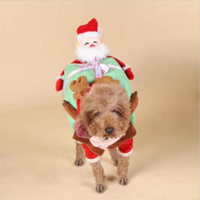 Halloween Dog Clothes - Discount Halloween City