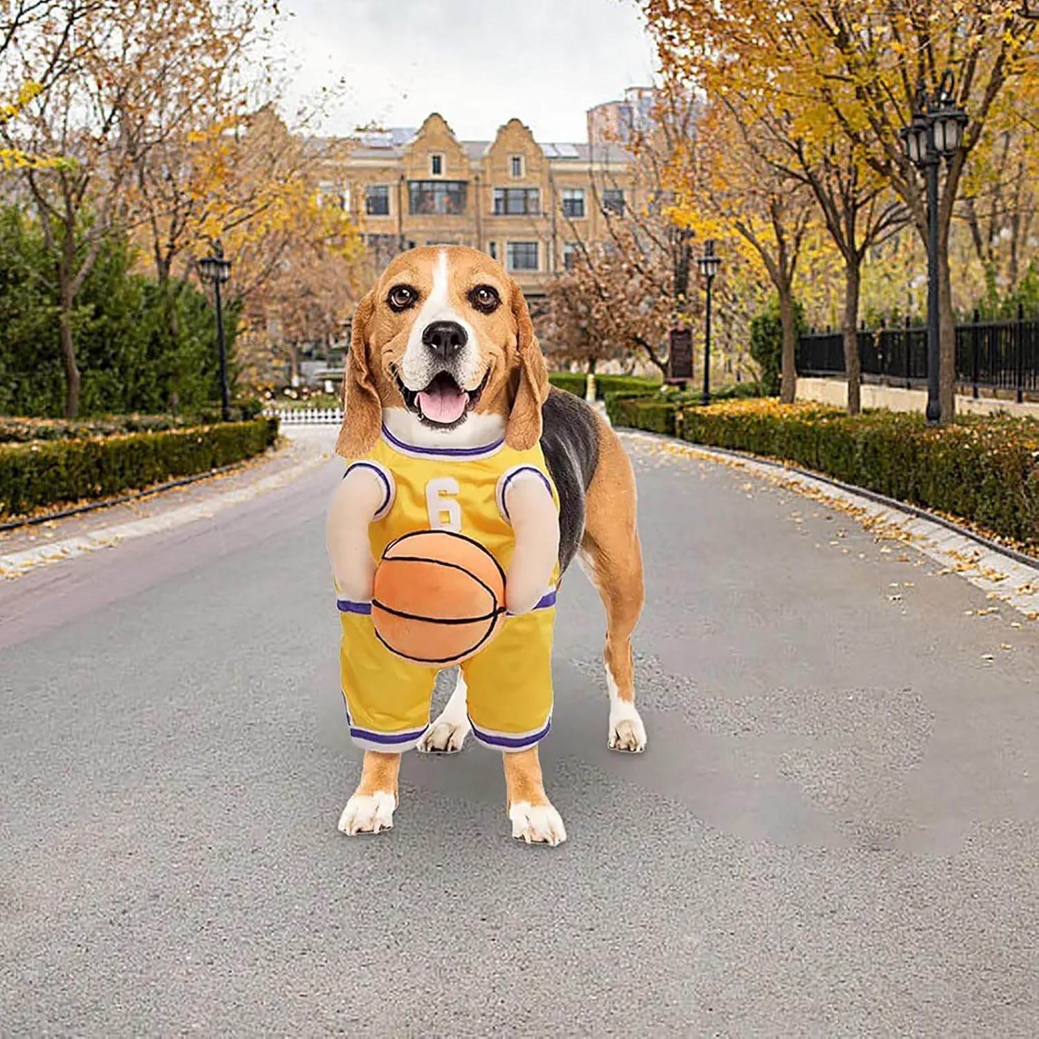 Pet Costumes Dog Basketball Player Costume Halloween - Discount Halloween City