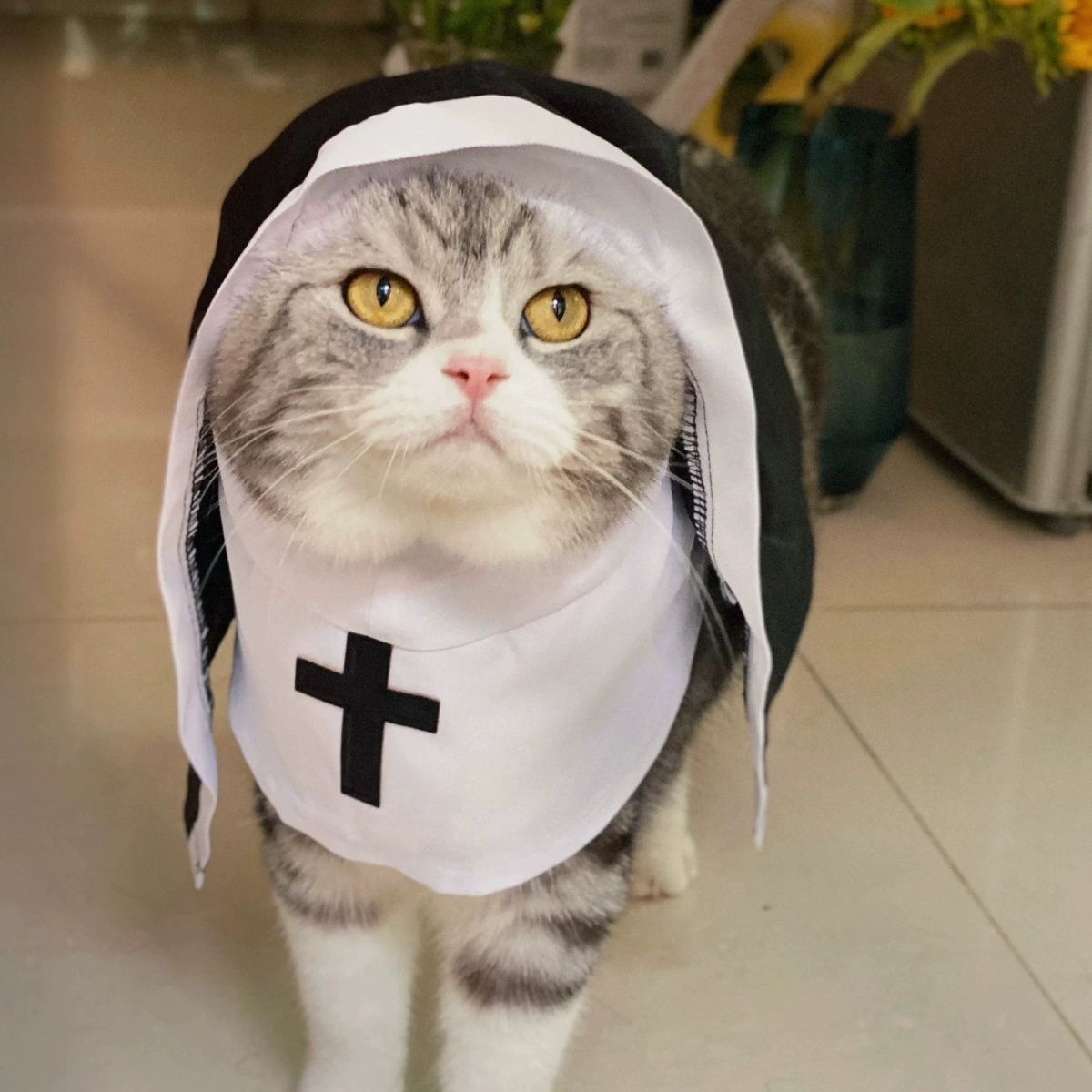 PET SHOW Nun Dog Costume for Small Medium Dogs Halloween - Discount Halloween City
