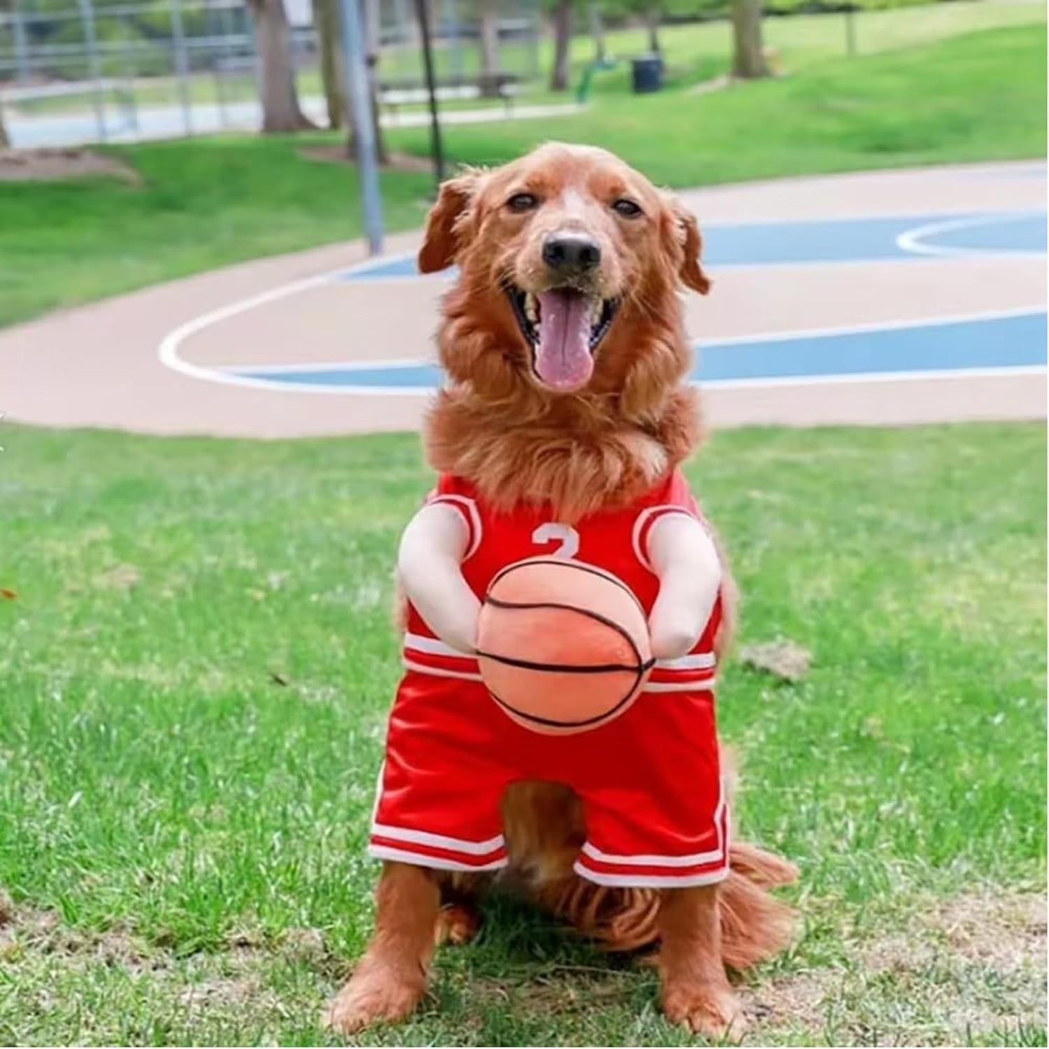 Pet Costumes Dog Basketball Player Costume Halloween - Discount Halloween City