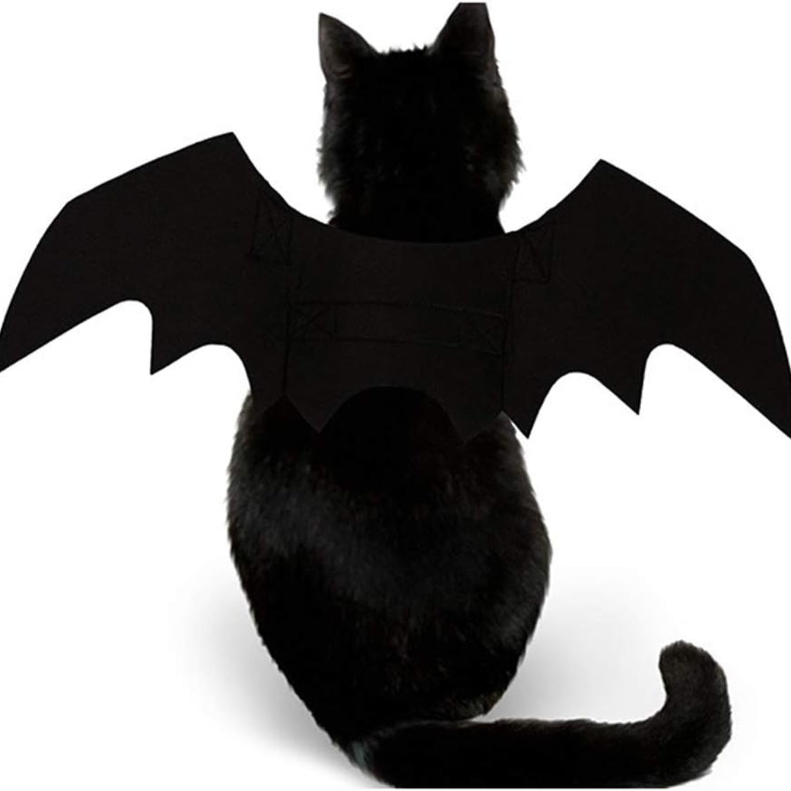 Pet Cat Bat Wings for Decoration - alternate view 3