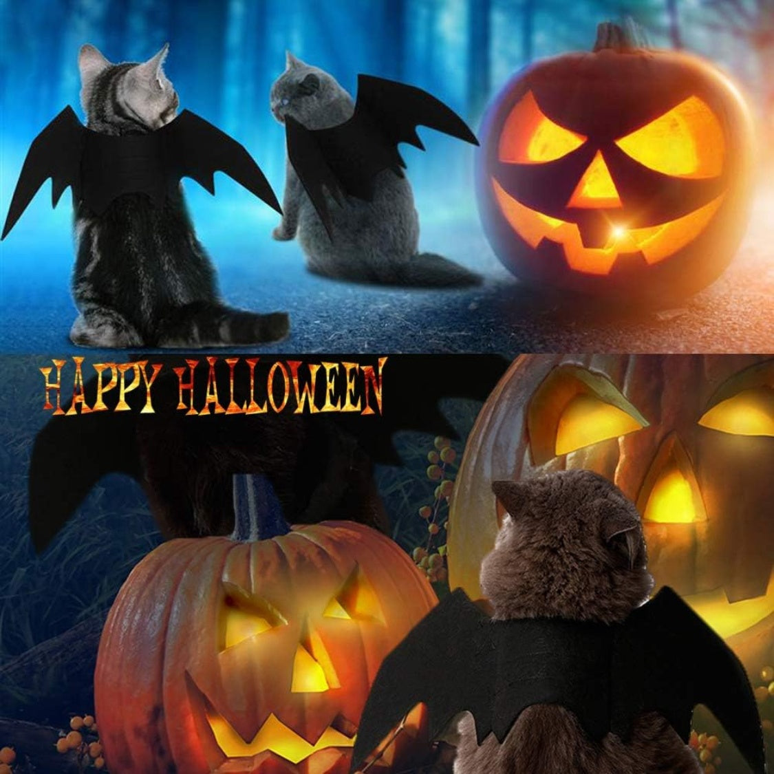 Pet Cat Bat Wings for Decoration - alternate view 5