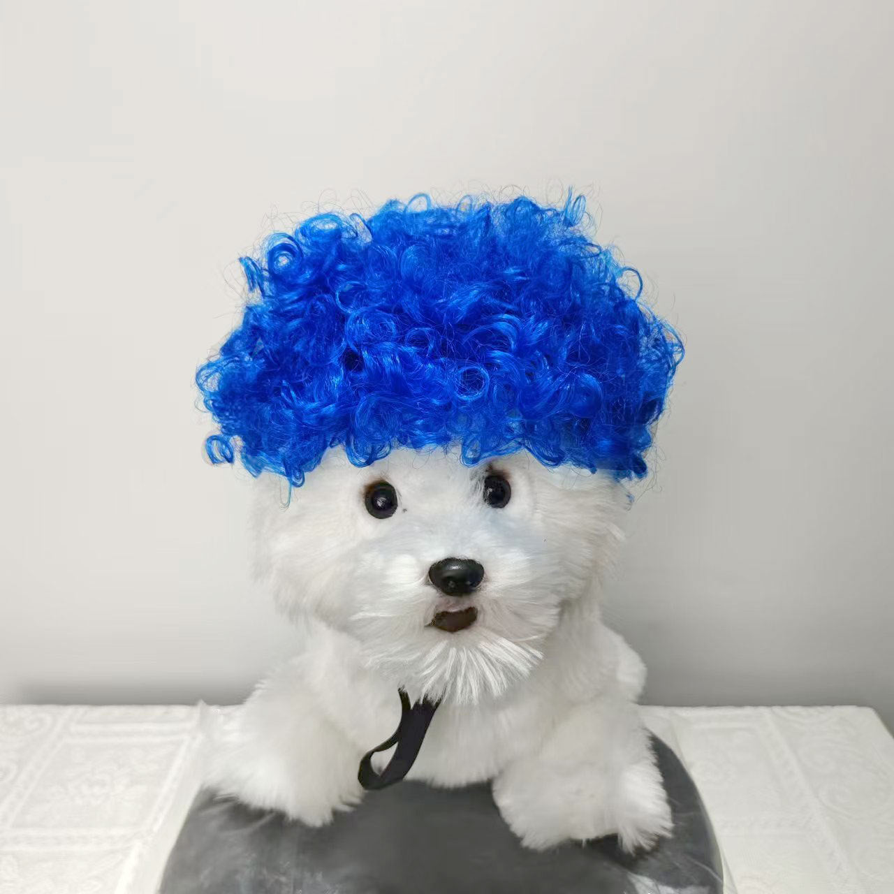 Pet for Curly or Straight Hair Wig - alternate view 25