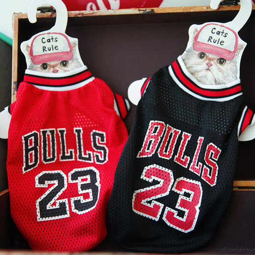 Basketball Dog & Cat Halloween Costume