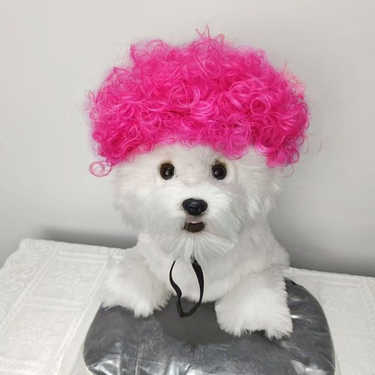 Pet for Curly or Straight Hair Wig