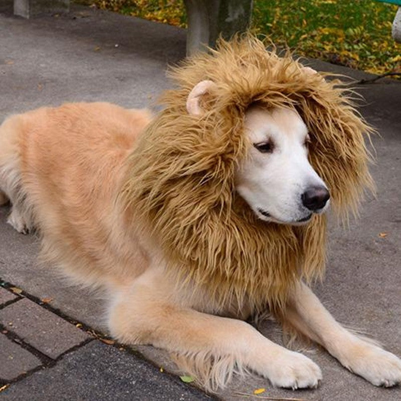 Cute Pet Cosplay Clothes Transfiguration Costume Lion Mane - Discount Halloween City