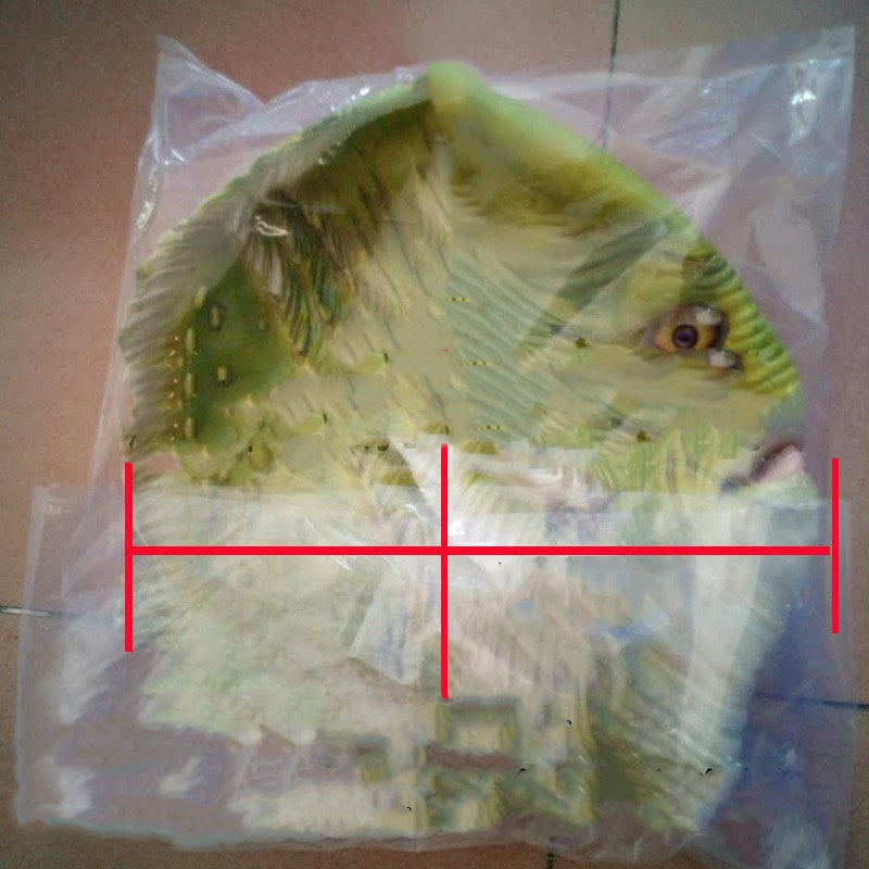 Masquerade Trick Prop - alternate view 5