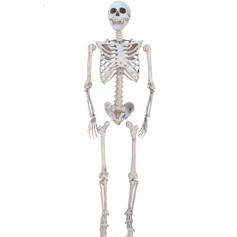 Halloween Big Hanging Ghost Horror Props Skull Decoration - Discount Halloween City