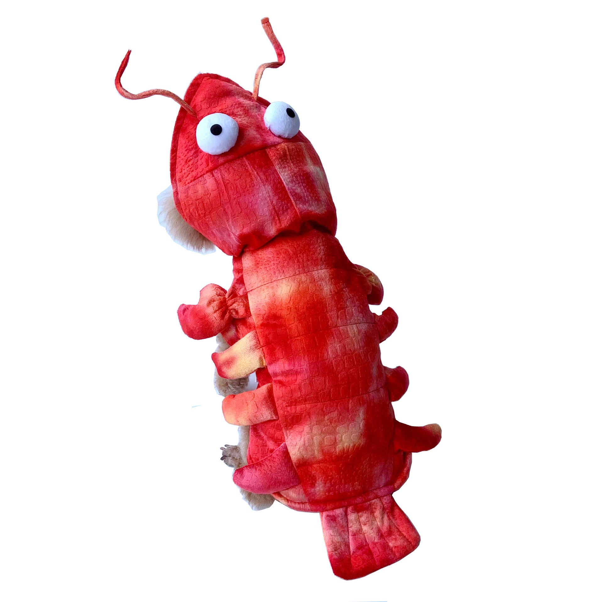 Lobster Pet Clothes Halloween Cat and Dog Makeover Costume - Discount Halloween City