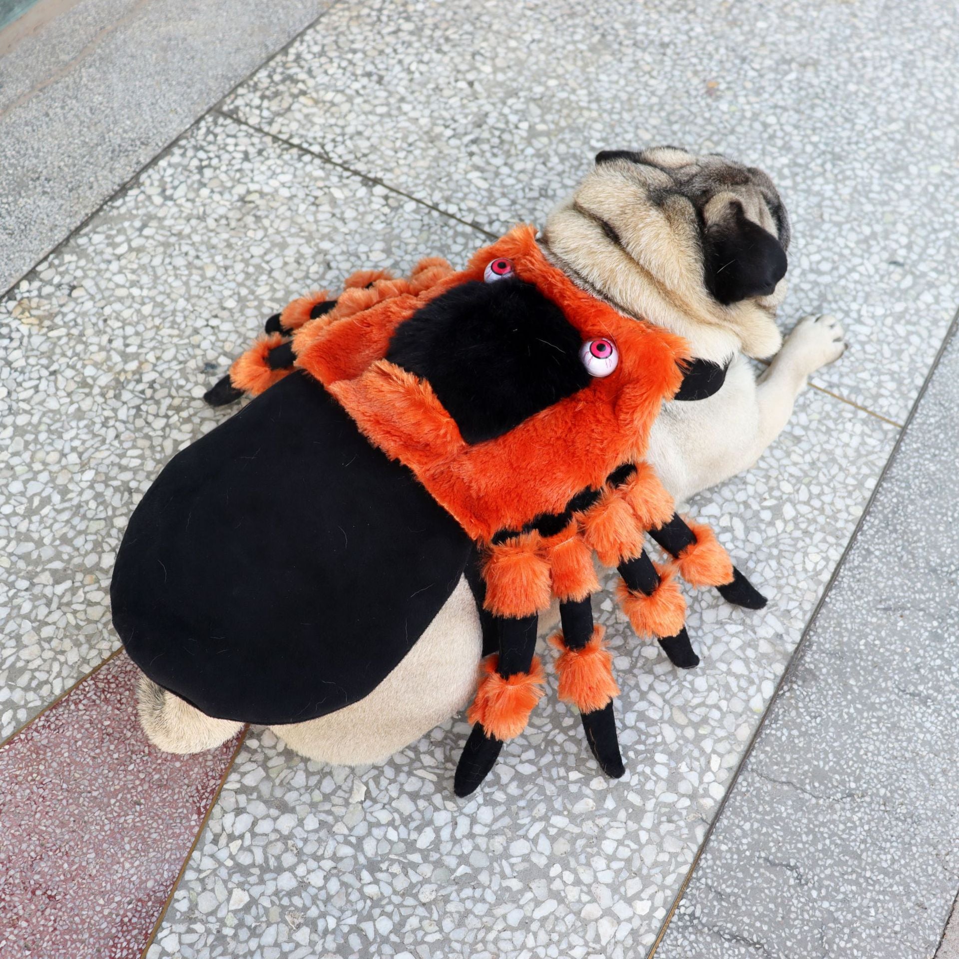 Pet Clothes Halloween Spider Pet Costume - Discount Halloween City