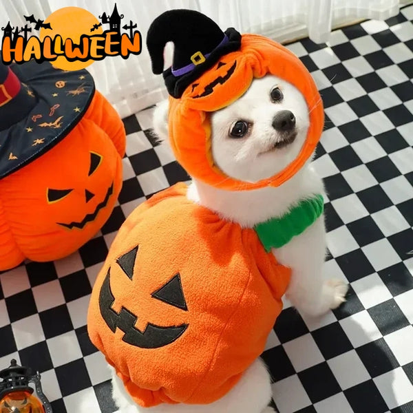 Halloween Pumpkin Vest for Dogs Cats Festive Pet Costume - Discount Halloween City