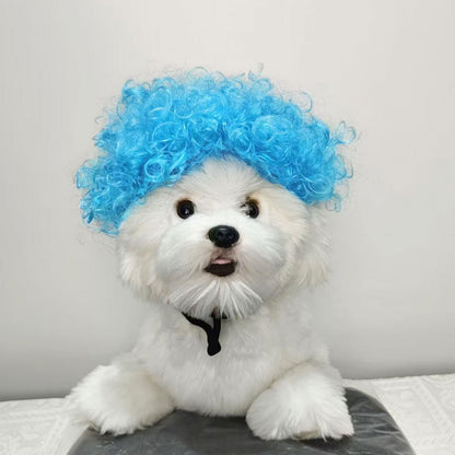 Pet for Curly or Straight Hair Wig - alternate view 28