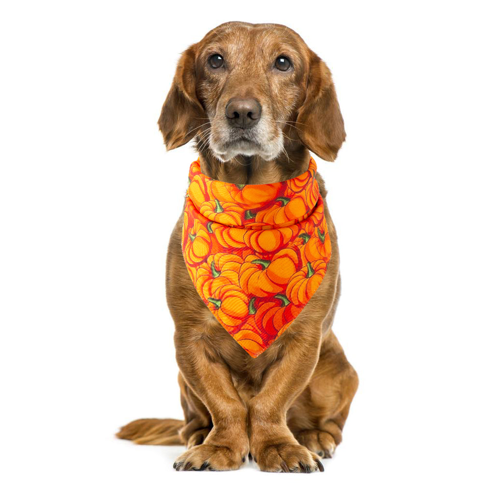 Halloween Pet Saliva Towel - Discount Halloween City