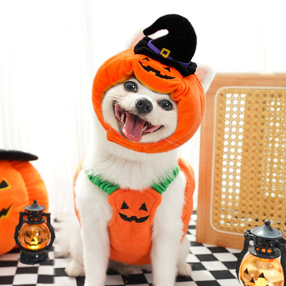 Halloween Pumpkin Vest for Dogs Cats Festive Pet Costume - Discount Halloween City