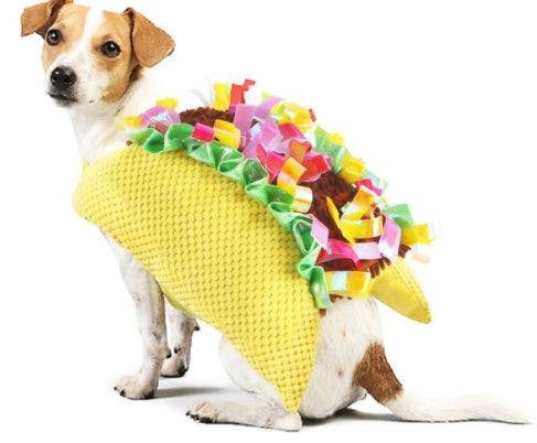 Halloween Cartoon Pet Cowboy Horseback Riding Costume Pet - Discount Halloween City