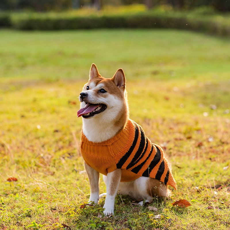Halloween Dog Sweaters Pet Costume Teddy Warm Leisure - Discount Halloween City