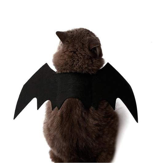 Easy Batwings Cat Halloween Costume - Discount Halloween City