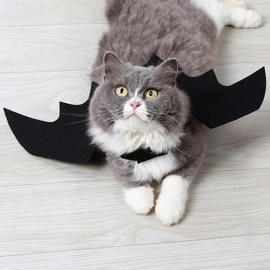 Easy Batwings Cat Halloween Costume - Discount Halloween City