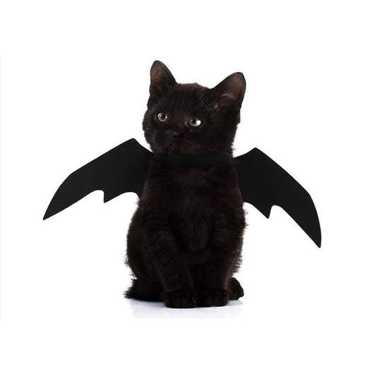 Easy Batwings Cat Halloween Costume - Discount Halloween City