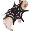 Spooky Felt Halloween Pet Costume