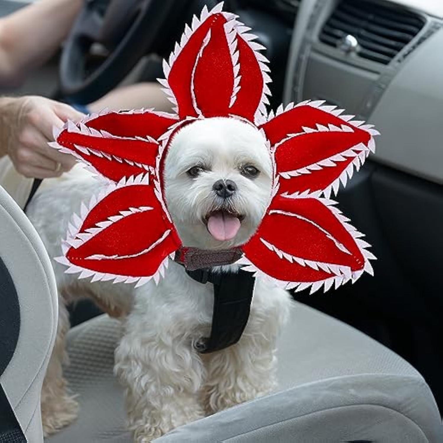 Dog Halloween Chomper Costume - Pet Holiday Demon Hat Scary - Discount Halloween City