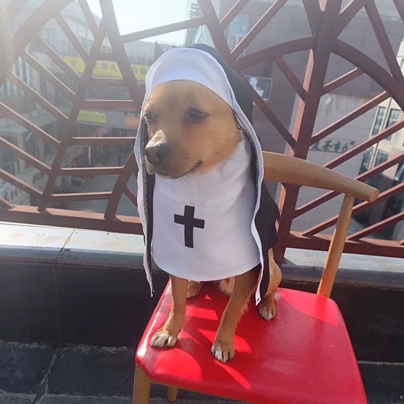 PET SHOW Nun Dog Costume for Small Medium Dogs Halloween - Discount Halloween City
