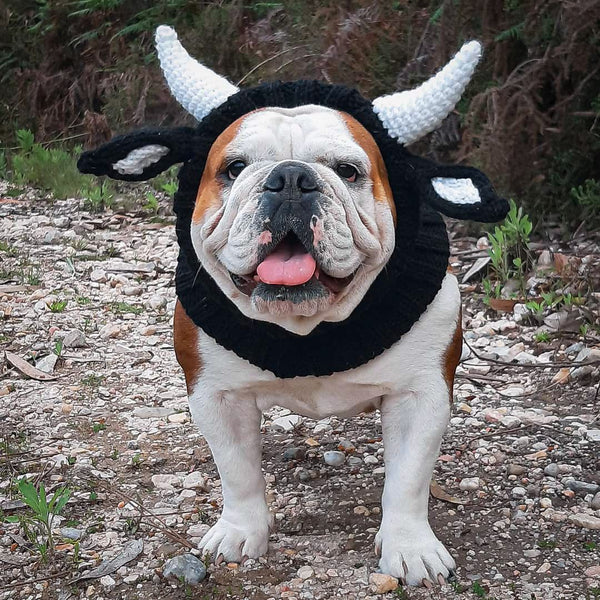 Black Cow Thermal and Windproof Halloween Knitted Jarre Aero - Discount Halloween City