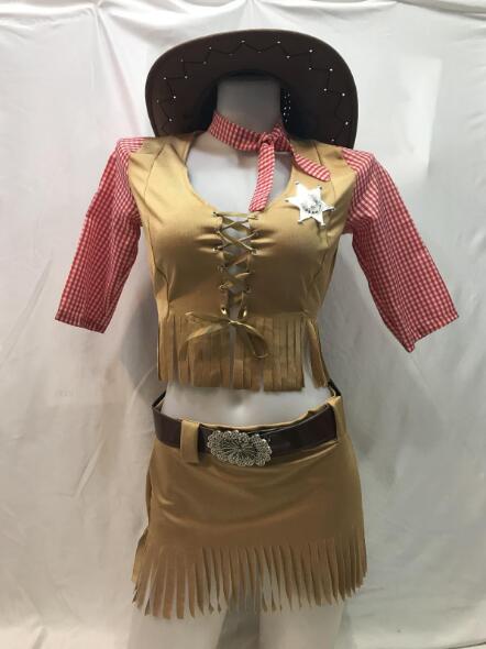 Cowboy Halloween Pirate Costume - Discount Halloween City