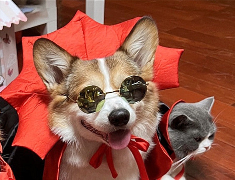 Halloween Pet Costumepet Cape Vampire King - Discount Halloween City