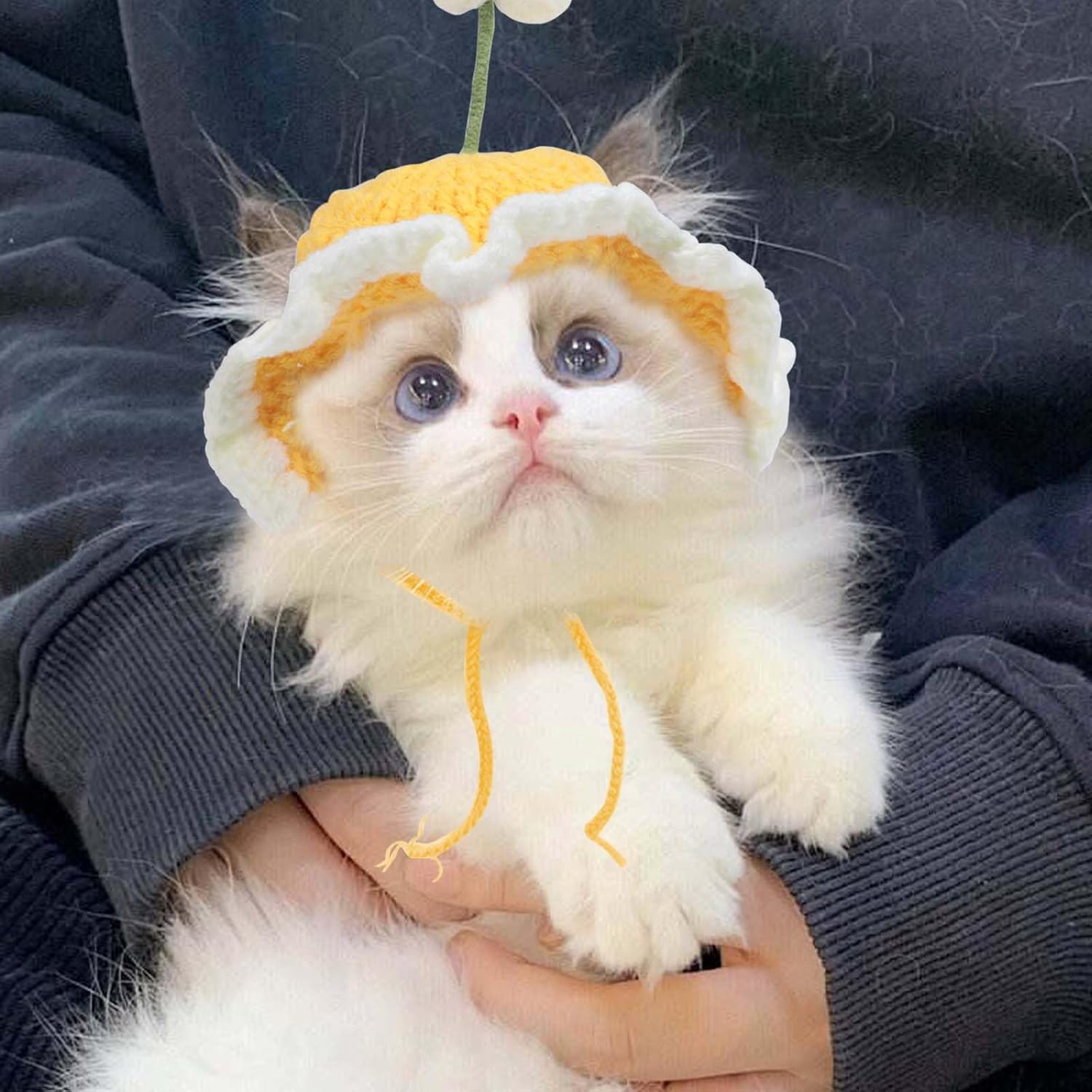 Cute Knit Cat Hat Funny Dog Hat for Cats and Small Dogs - Discount Halloween City
